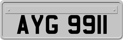 AYG9911
