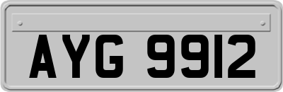 AYG9912