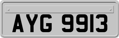 AYG9913