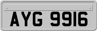 AYG9916