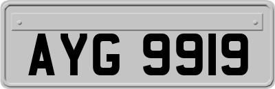 AYG9919