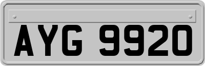 AYG9920