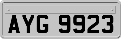 AYG9923