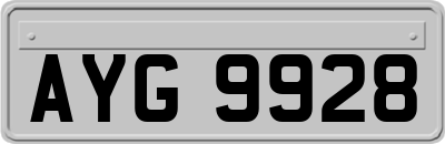 AYG9928