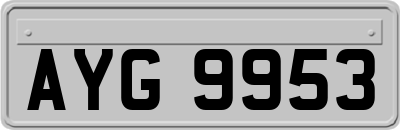 AYG9953