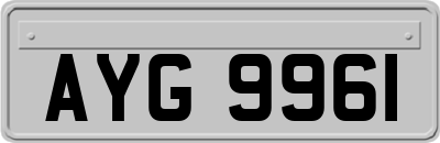 AYG9961