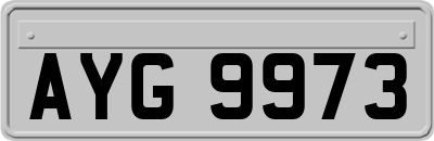 AYG9973