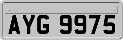 AYG9975