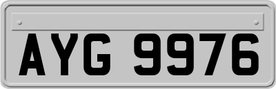AYG9976