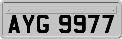 AYG9977