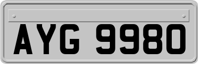 AYG9980