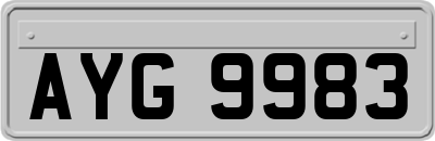 AYG9983