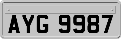AYG9987