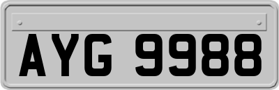 AYG9988