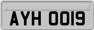 AYH0019