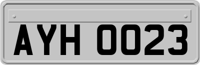 AYH0023