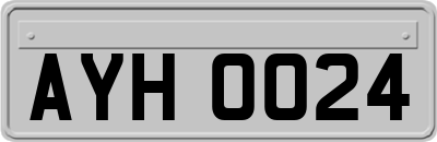AYH0024