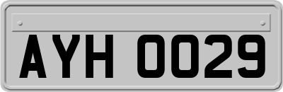 AYH0029