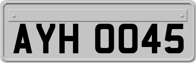 AYH0045