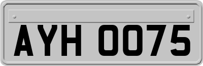 AYH0075
