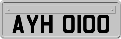 AYH0100