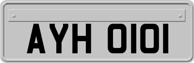 AYH0101