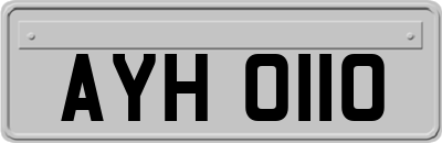AYH0110