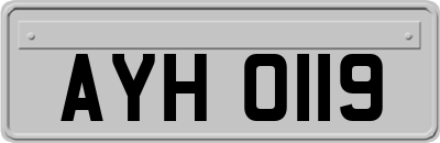 AYH0119