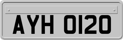 AYH0120