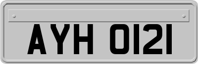 AYH0121