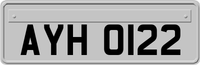 AYH0122