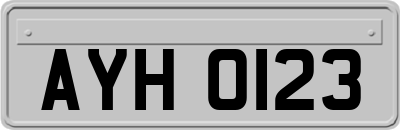 AYH0123