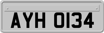AYH0134
