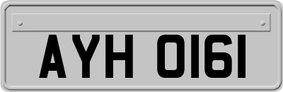 AYH0161