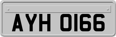 AYH0166