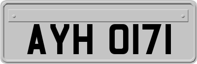 AYH0171