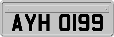 AYH0199