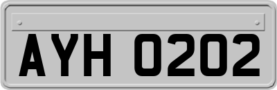 AYH0202