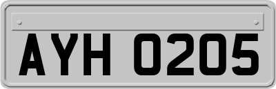 AYH0205