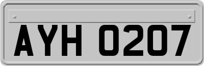 AYH0207