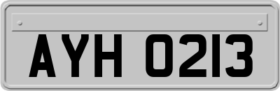 AYH0213