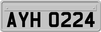 AYH0224
