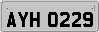 AYH0229