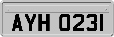 AYH0231