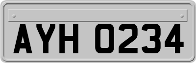 AYH0234