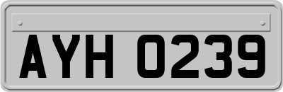 AYH0239
