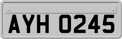 AYH0245