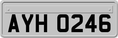 AYH0246