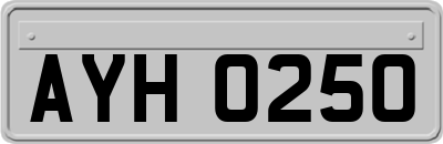 AYH0250