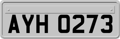AYH0273